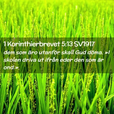Picture 02 - 1 Korinthierbrevet 5:13 SV1917 - dem som äro utanför skall Gud döma. »I skolen - Bible Verse Picture