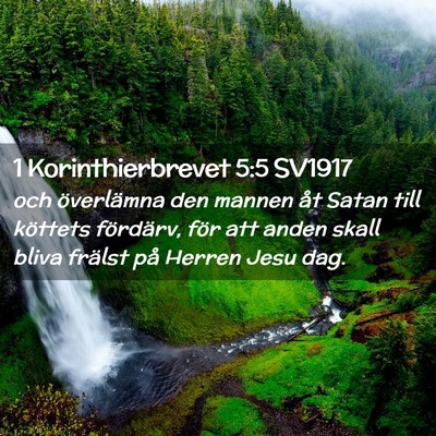 Picture 02 - 1 Korinthierbrevet 5:5 SV1917 - och överlämna den mannen åt Satan till - Bible Verse Picture