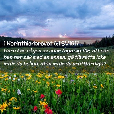 Picture 02 - 1 Korinthierbrevet 6:1 SV1917 - Huru kan någon av eder taga sig för, att när - Bible Verse Picture