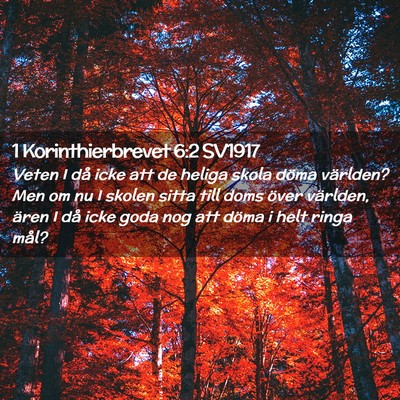 Picture 02 - 1 Korinthierbrevet 6:2 SV1917 - Veten I då icke att de heliga skola döma - Bible Verse Picture
