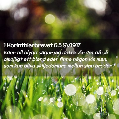 Picture 02 - 1 Korinthierbrevet 6:5 SV1917 - Eder till blygd säger jag detta. Är det då så - Bible Verse Picture