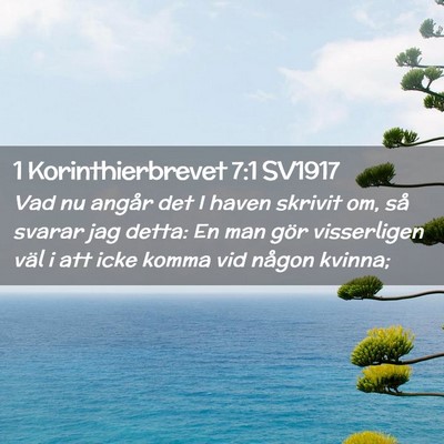 Picture 02 - 1 Korinthierbrevet 7:1 SV1917 - Vad nu angår det I haven skrivit om, så svarar - Bible Verse Picture