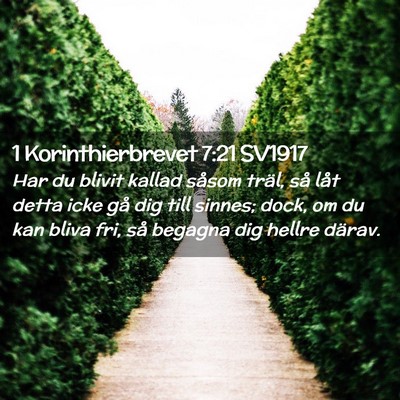 Picture 02 - 1 Korinthierbrevet 7:21 SV1917 - Har du blivit kallad såsom träl, så låt detta - Bible Verse Picture