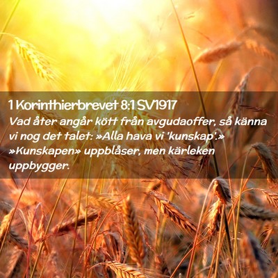 Picture 02 - 1 Korinthierbrevet 8:1 SV1917 - Vad åter angår kött från avgudaoffer, så - Bible Verse Picture