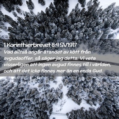 Picture 02 - 1 Korinthierbrevet 8:4 SV1917 - Vad alltså angår ätandet av kött från - Bible Verse Picture