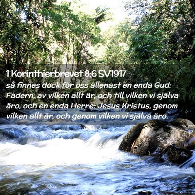 Picture 02 - 1 Korinthierbrevet 8:6 SV1917 - så finnes dock för oss allenast en enda Gud: - Bible Verse Picture