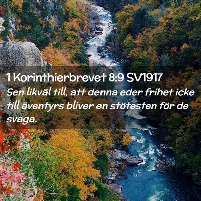 Picture 02 - 1 Korinthierbrevet 8:9 SV1917 - Sen likväl till, att denna eder frihet icke till - Bible Verse Picture