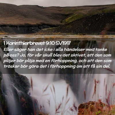 Picture 02 - 1 Korinthierbrevet 9:10 SV1917 - Eller säger han det icke i alla händelser med - Bible Verse Picture