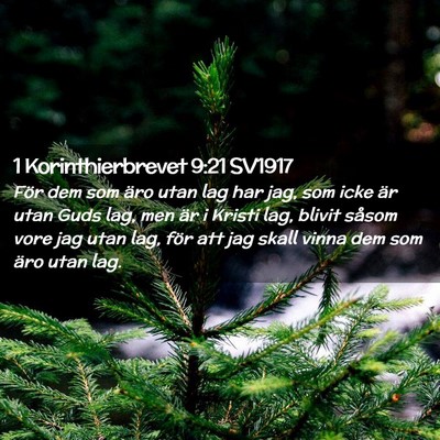 Picture 02 - 1 Korinthierbrevet 9:21 SV1917 - För dem som äro utan lag har jag, som icke är - Bible Verse Picture