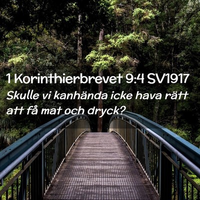 Picture 02 - 1 Korinthierbrevet 9:4 SV1917 - Skulle vi kanhända icke hava rätt att få mat - Bible Verse Picture