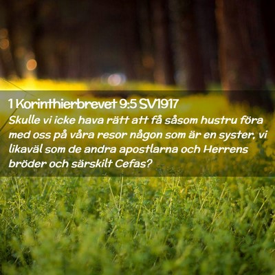 Picture 02 - 1 Korinthierbrevet 9:5 SV1917 - Skulle vi icke hava rätt att få såsom hustru - Bible Verse Picture