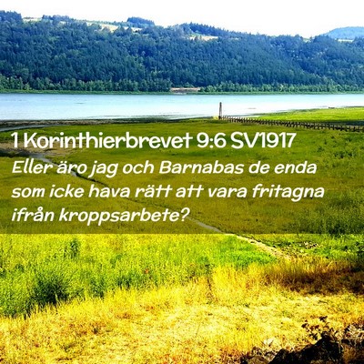 Picture 02 - 1 Korinthierbrevet 9:6 SV1917 - Eller äro jag och Barnabas de enda som icke hava - Bible Verse Picture