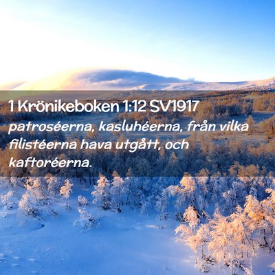 Picture 02 - 1 Krönikeboken 1:12 SV1917 - patroséerna, kasluhéerna, från vilka - Bible Verse Picture