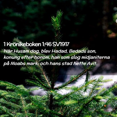 Picture 02 - 1 Krönikeboken 1:46 SV1917 - När Husam dog, blev Hadad, Bedads son, konung - Bible Verse Picture