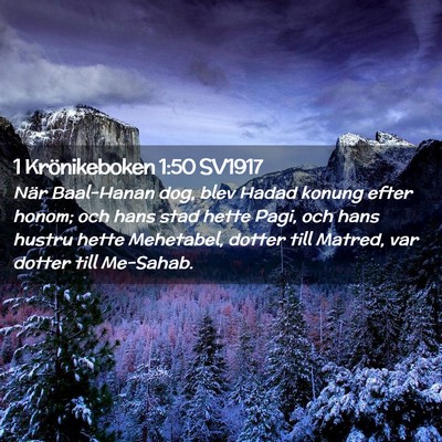 Picture 02 - 1 Krönikeboken 1:50 SV1917 - När Baal-Hanan dog, blev Hadad konung efter - Bible Verse Picture