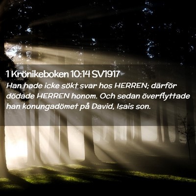 Picture 02 - 1 Krönikeboken 10:14 SV1917 - Han hade icke sökt svar hos HERREN; därför - Bible Verse Picture