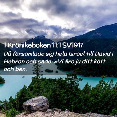 Picture 02 - 1 Krönikeboken 11:1 SV1917 - Då församlade sig hela Israel till David i - Bible Verse Picture