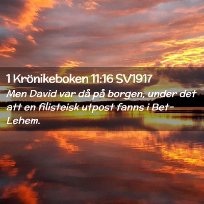 Picture 02 - 1 Krönikeboken 11:16 SV1917 - Men David var då på borgen, under det att en - Bible Verse Picture