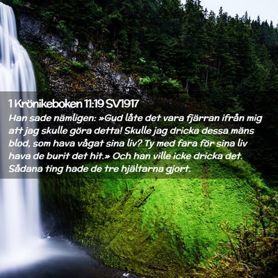 Picture 02 - 1 Krönikeboken 11:19 SV1917 - Han sade nämligen: »Gud låte det vara fjärran - Bible Verse Picture