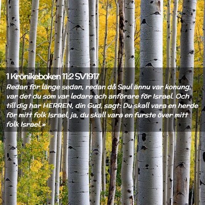Picture 02 - 1 Krönikeboken 11:2 SV1917 - Redan för länge sedan, redan då Saul ännu var - Bible Verse Picture