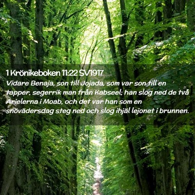Picture 02 - 1 Krönikeboken 11:22 SV1917 - Vidare Benaja, son till Jojada, som var son till - Bible Verse Picture