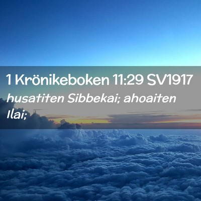 Picture 02 - 1 Krönikeboken 11:29 SV1917 - husatiten Sibbekai; ahoaiten - Bible Verse Picture