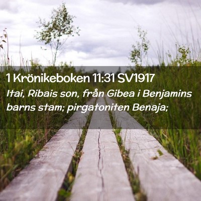 Picture 02 - 1 Krönikeboken 11:31 SV1917 - Itai, Ribais son, från Gibea i Benjamins barns - Bible Verse Picture