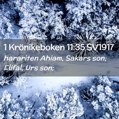 Picture 02 - 1 Krönikeboken 11:35 SV1917 - harariten Ahiam, Sakars son; Elifal, Urs - Bible Verse Picture