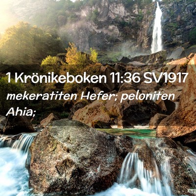 Picture 02 - 1 Krönikeboken 11:36 SV1917 - mekeratiten Hefer; peloniten - Bible Verse Picture