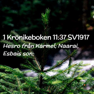 Picture 02 - 1 Krönikeboken 11:37 SV1917 - Hesro från Karmel; Naarai, Esbais - Bible Verse Picture