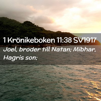 Picture 02 - 1 Krönikeboken 11:38 SV1917 - Joel, broder till Natan; Mibhar, Hagris - Bible Verse Picture