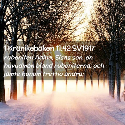 Picture 02 - 1 Krönikeboken 11:42 SV1917 - rubeniten Adina, Sisas son, en huvudman bland - Bible Verse Picture
