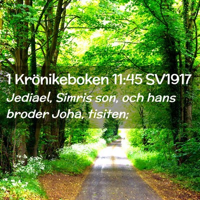 Picture 02 - 1 Krönikeboken 11:45 SV1917 - Jediael, Simris son, och hans broder Joha, - Bible Verse Picture