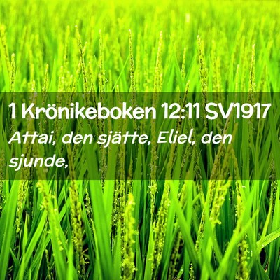 Picture 02 - 1 Krönikeboken 12:11 SV1917 - Attai, den sjätte, Eliel, den - Bible Verse Picture