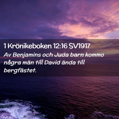 Picture 02 - 1 Krönikeboken 12:16 SV1917 - Av Benjamins och Juda barn kommo några män till - Bible Verse Picture