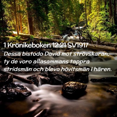Picture 02 - 1 Krönikeboken 12:21 SV1917 - Dessa bistodo David mot strövskaran, ty de voro - Bible Verse Picture