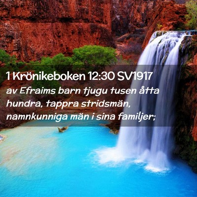 Picture 02 - 1 Krönikeboken 12:30 SV1917 - av Efraims barn tjugu tusen åtta hundra, tappra - Bible Verse Picture