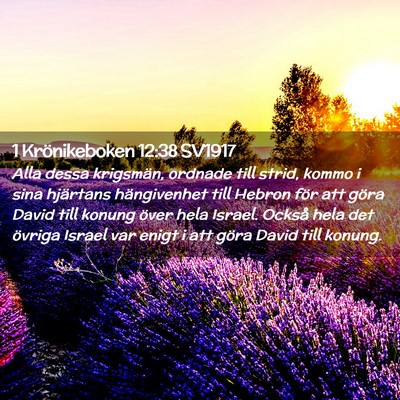 Picture 02 - 1 Krönikeboken 12:38 SV1917 - Alla dessa krigsmän, ordnade till strid, kommo i - Bible Verse Picture