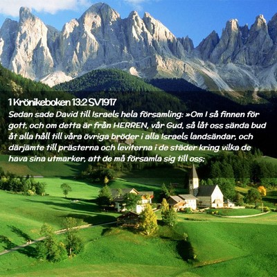 Picture 02 - 1 Krönikeboken 13:2 SV1917 - Sedan sade David till Israels hela församling: - Bible Verse Picture
