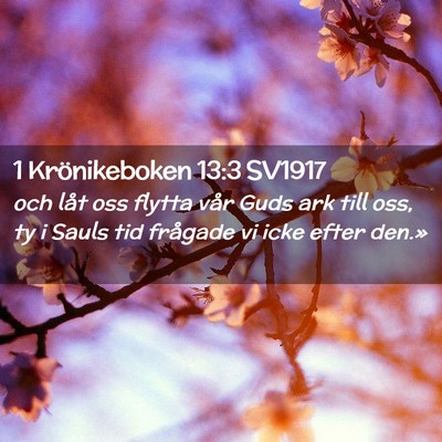Picture 02 - 1 Krönikeboken 13:3 SV1917 - och låt oss flytta vår Guds ark till oss, ty i - Bible Verse Picture