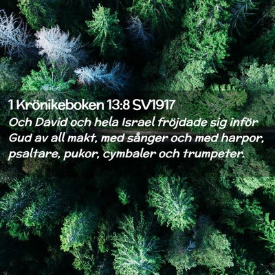 Picture 02 - 1 Krönikeboken 13:8 SV1917 - Och David och hela Israel fröjdade sig inför - Bible Verse Picture