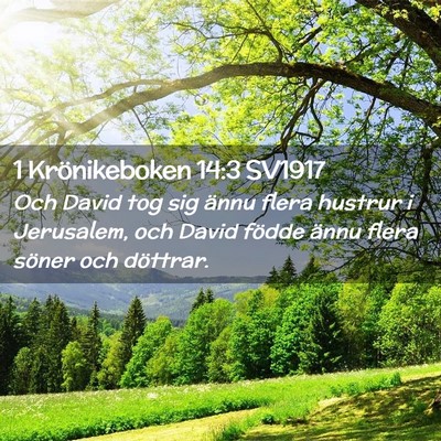 Picture 02 - 1 Krönikeboken 14:3 SV1917 - Och David tog sig ännu flera hustrur i - Bible Verse Picture