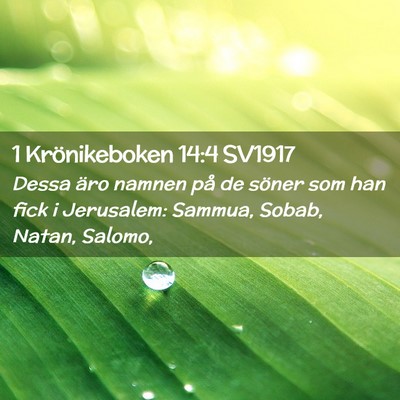 Picture 02 - 1 Krönikeboken 14:4 SV1917 - Dessa äro namnen på de söner som han fick i - Bible Verse Picture