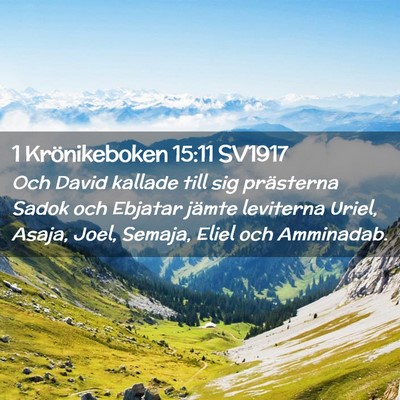 Picture 02 - 1 Krönikeboken 15:11 SV1917 - Och David kallade till sig prästerna Sadok och - Bible Verse Picture