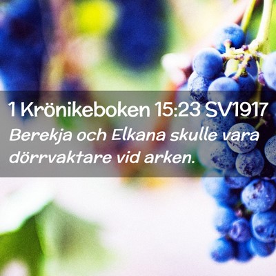 Picture 02 - 1 Krönikeboken 15:23 SV1917 - Berekja och Elkana skulle vara dörrvaktare vid - Bible Verse Picture