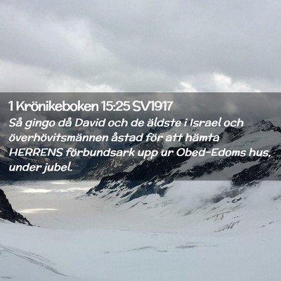 Picture 02 - 1 Krönikeboken 15:25 SV1917 - Så gingo då David och de äldste i Israel och - Bible Verse Picture