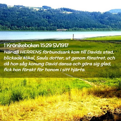 Picture 02 - 1 Krönikeboken 15:29 SV1917 - När då HERRENS förbundsark kom till Davids - Bible Verse Picture