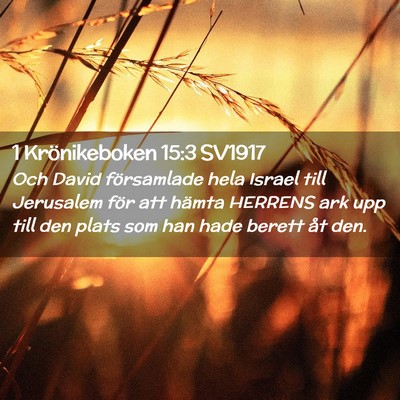 Picture 02 - 1 Krönikeboken 15:3 SV1917 - Och David församlade hela Israel till Jerusalem - Bible Verse Picture