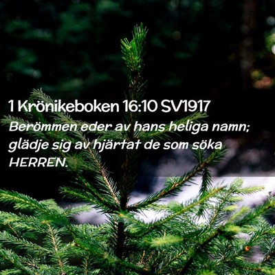 Picture 02 - 1 Krönikeboken 16:10 SV1917 - Berömmen eder av hans heliga namn; glädje sig - Bible Verse Picture