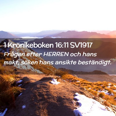 Picture 02 - 1 Krönikeboken 16:11 SV1917 - Frågen efter HERREN och hans makt, söken hans - Bible Verse Picture